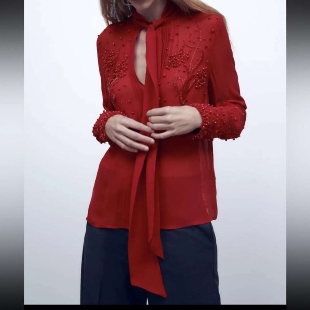 Zara Top - Picture 4 of 11